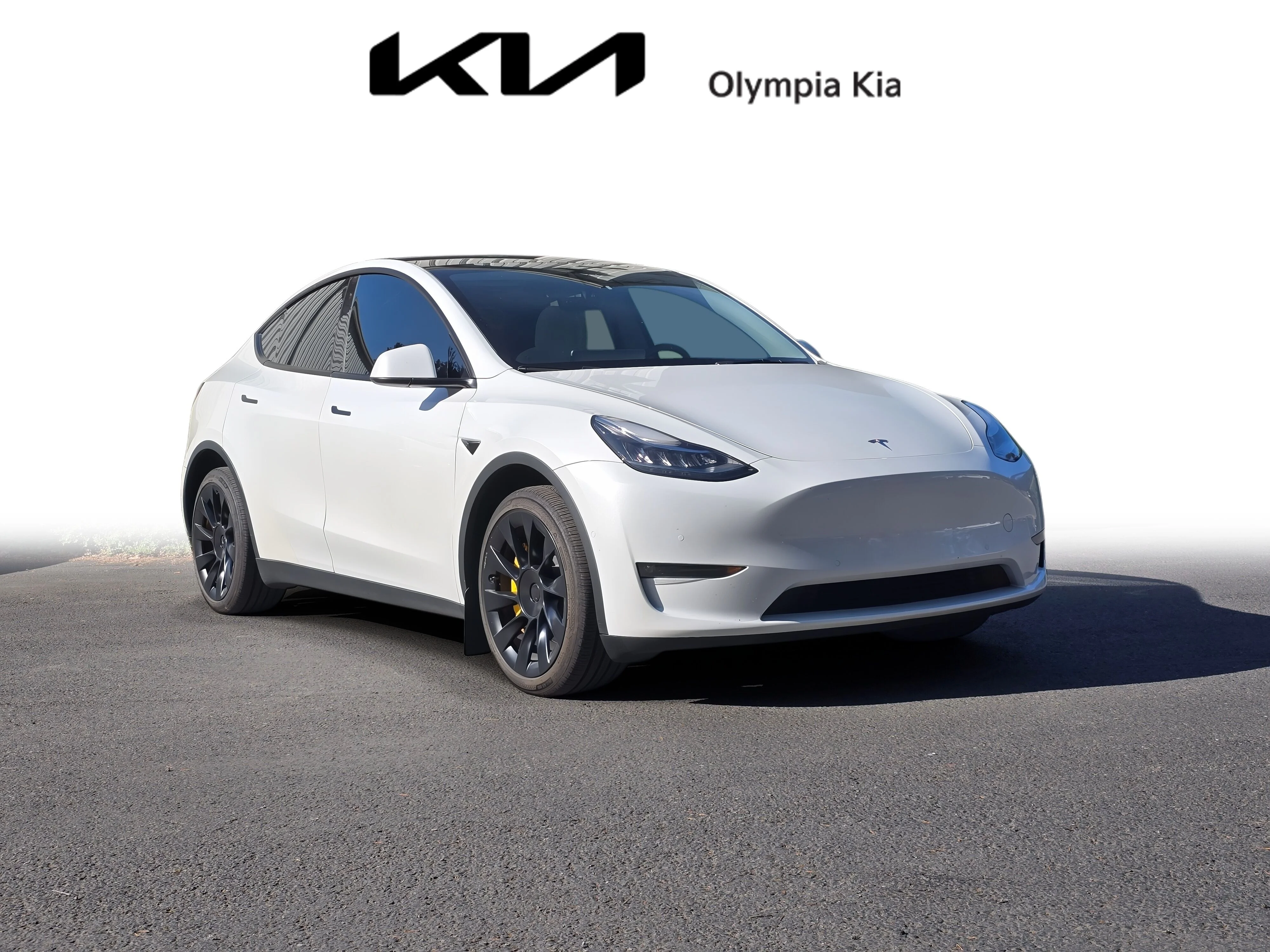2022 Tesla Model Y Long Range Dual Motor All-Wheel Drive's photo