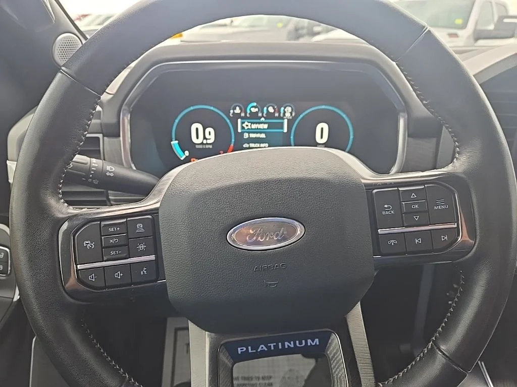 Used 2022 Agate Black Metallic Ford Platinum image 20