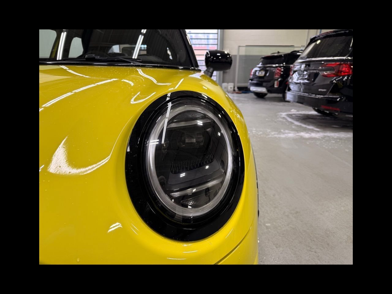 New 2026 Sunny Side Yellow MINI ICONIC image 9