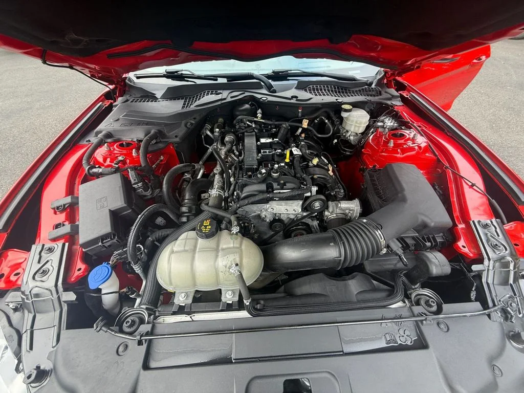 Used 2021 Race Red Ford EcoBoost Premium image 21