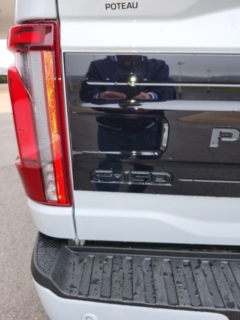 2025 Ford F-150 Platinum - Photo 13