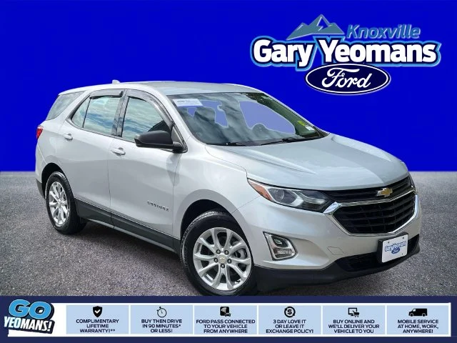 Used 2019 Silver Ice Metallic Chevrolet LS image 1