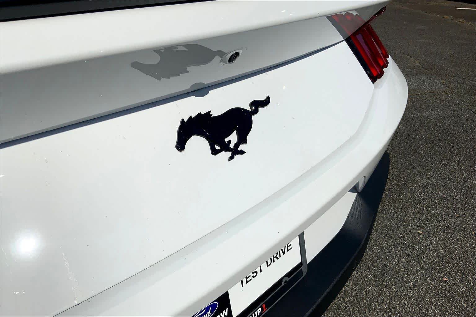New 2026 Oxford White Ford EcoBoost® Fastback image 15