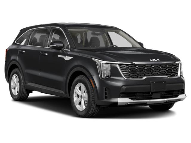 New 2026 Panthera Metal Kia LX image 6