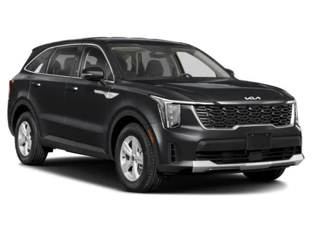 New 2026 Panthera Metal Kia LX image 6