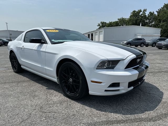 Used 2014 White Ford V6 image 11
