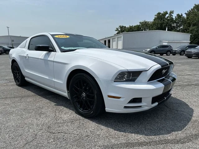 Used 2014 White Ford V6 image 11
