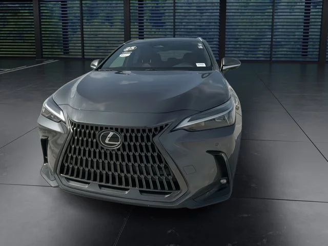 Used 2025 Gray Lexus 250 Premium image 3