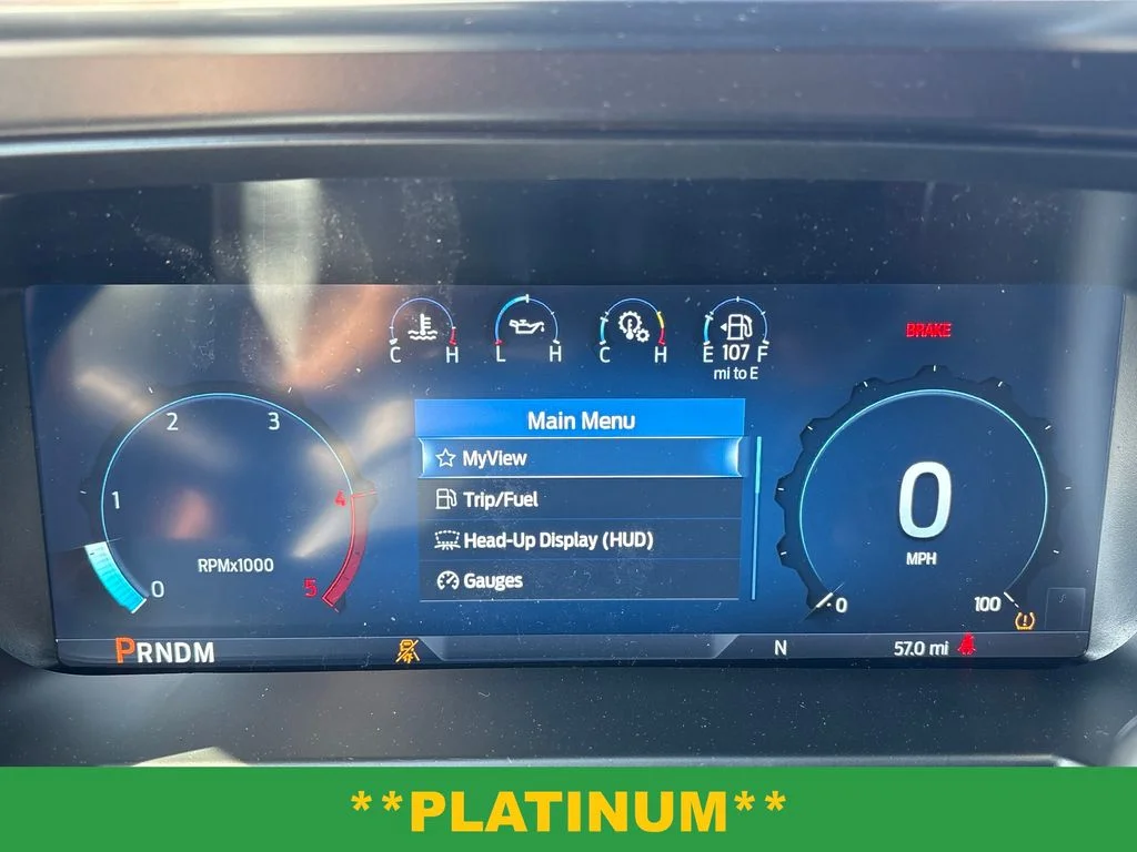 New 2026 Gray Ford Platinum image 20