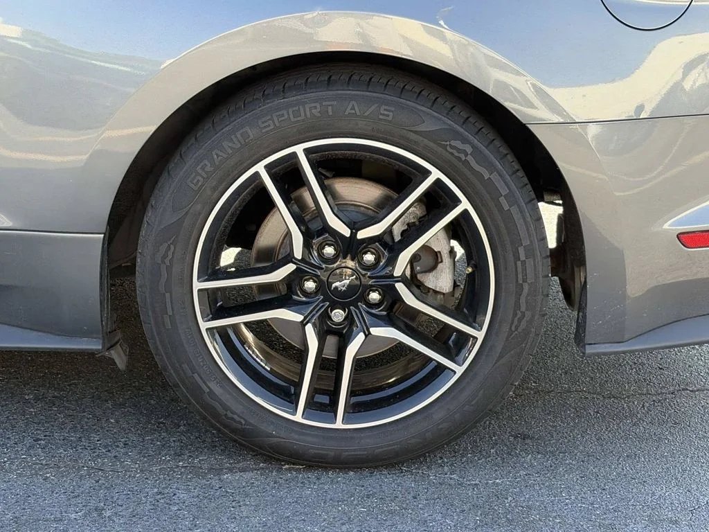 Used 2021 Gray Ford EcoBoost Premium image 12