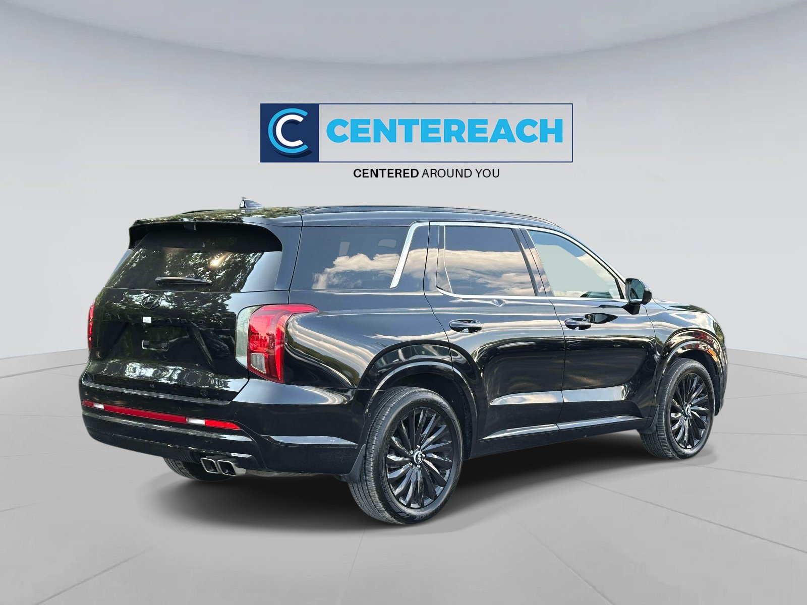 2025 Hyundai Palisade Calligraphy Night Edition - Photo 6