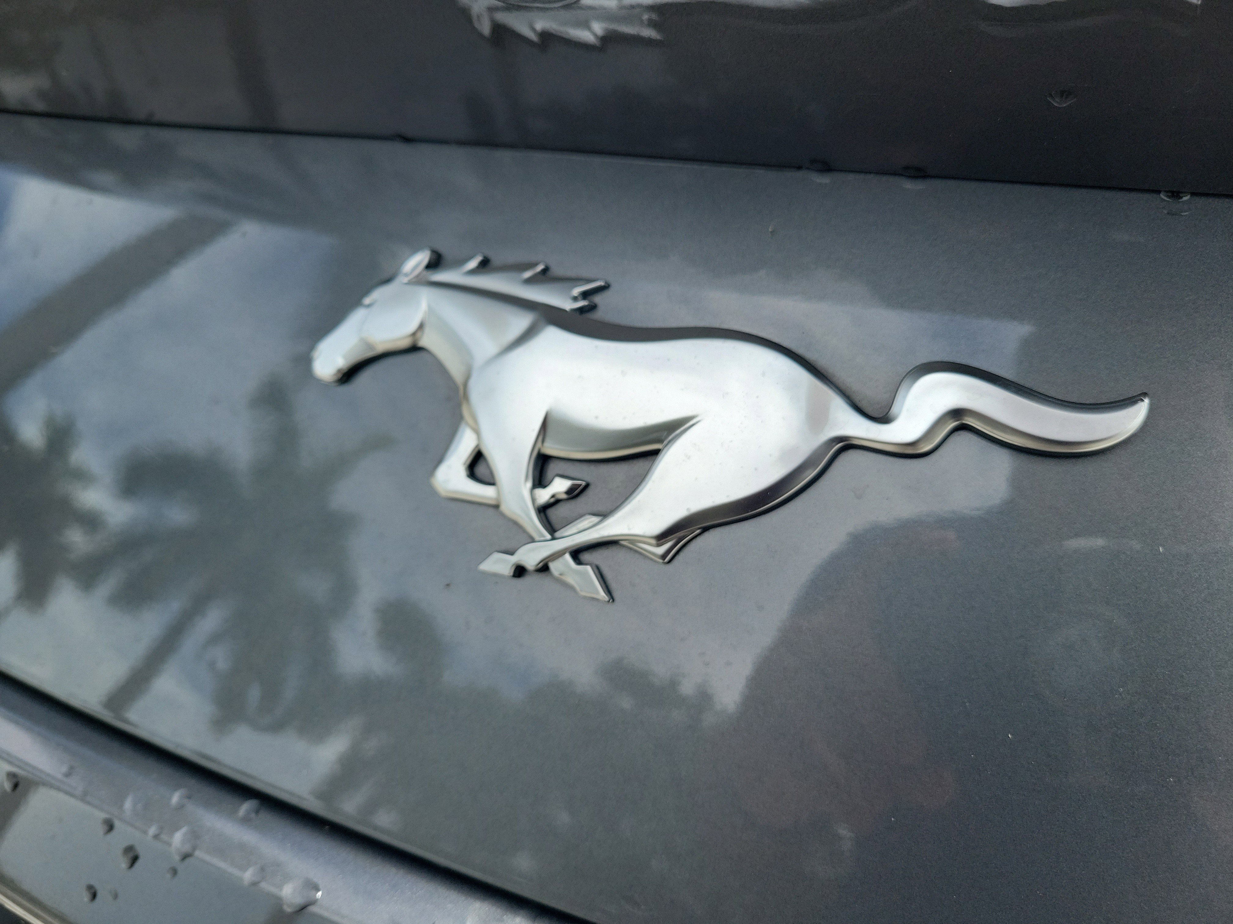 Used 2025 Gray Metallic Ford EcoBoost Premium image 13