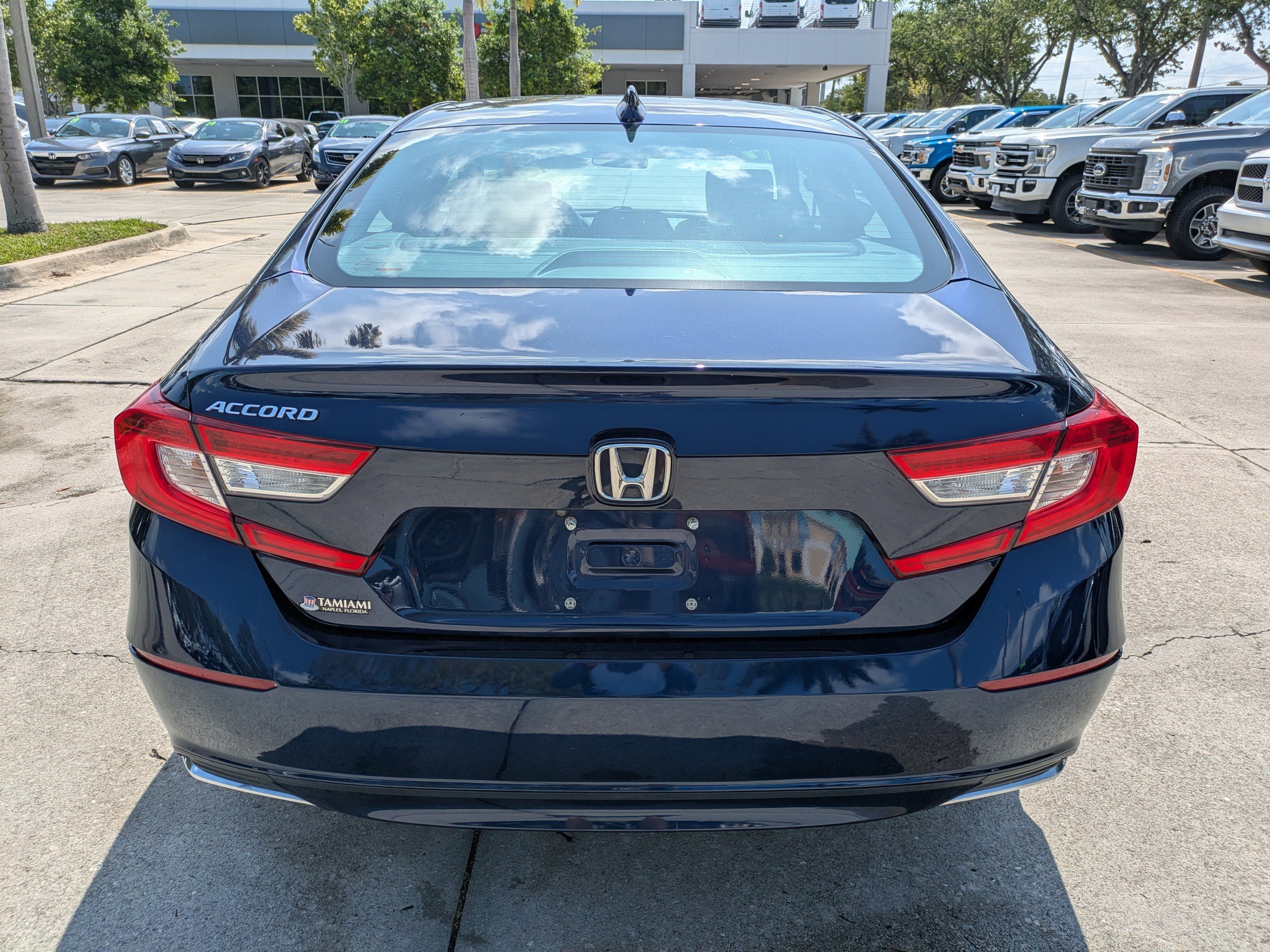 Used 2019 Obsidian Blue Pearl Honda LX 1.5T image 5