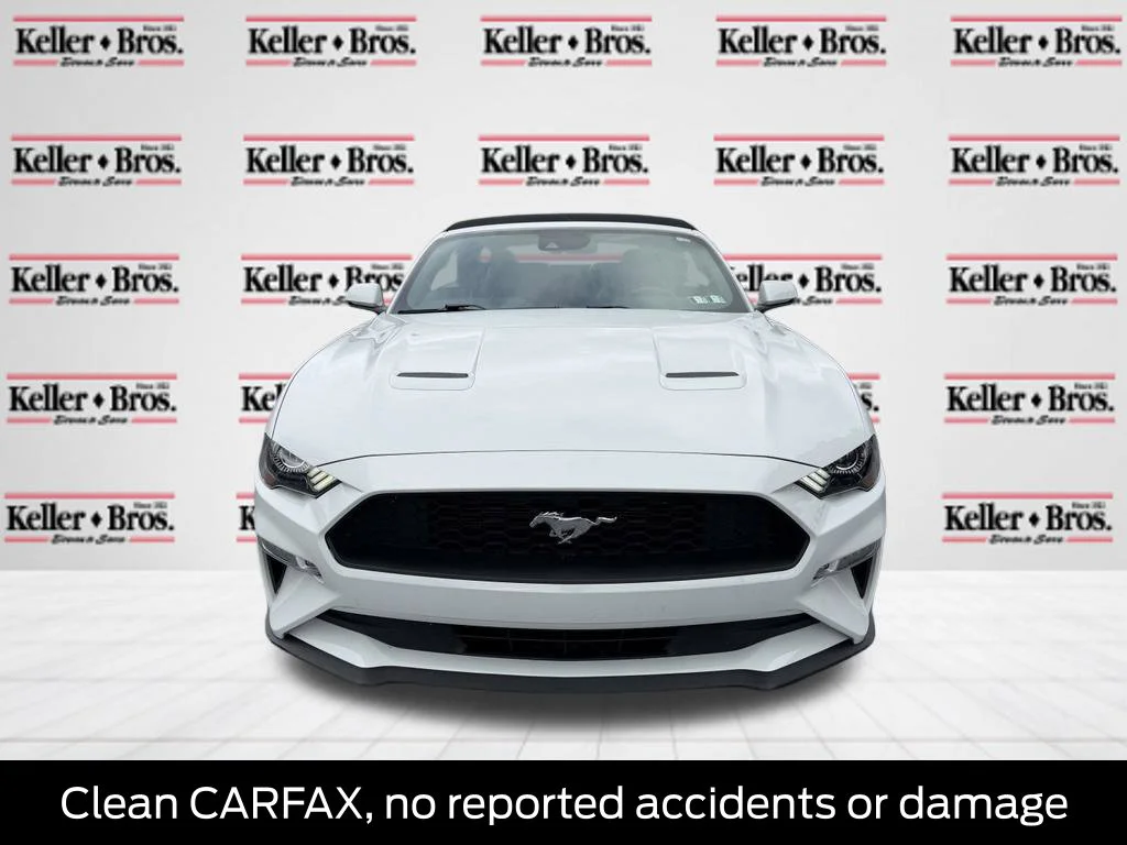 Used 2019 Oxford White Ford EcoBoost Premium image 2