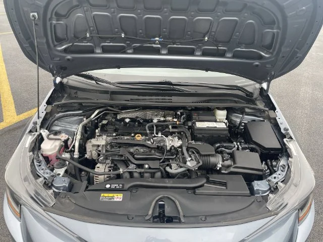 Photo 42