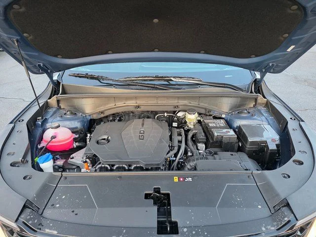 New 2026 Midnight Kia S image 12