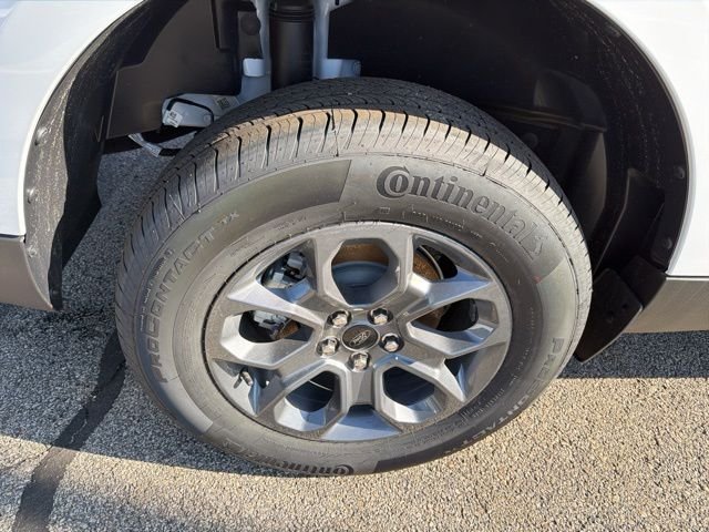 New 2026 Oxford White Ford XLT image 6