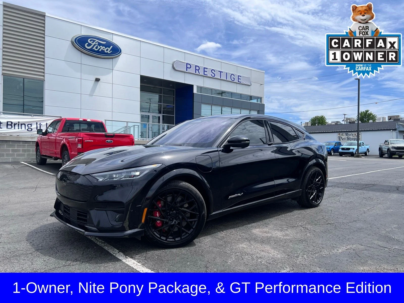 2023 Ford Mustang-Mach-e GT's photo