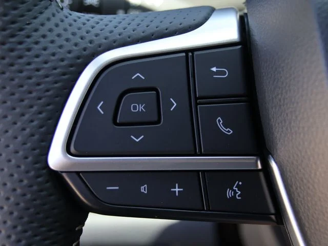 New 2026  Toyota Platinum image 15