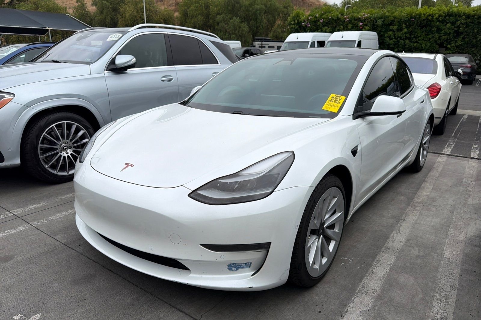2021 Tesla Model 3 Standard Range Plus's photo