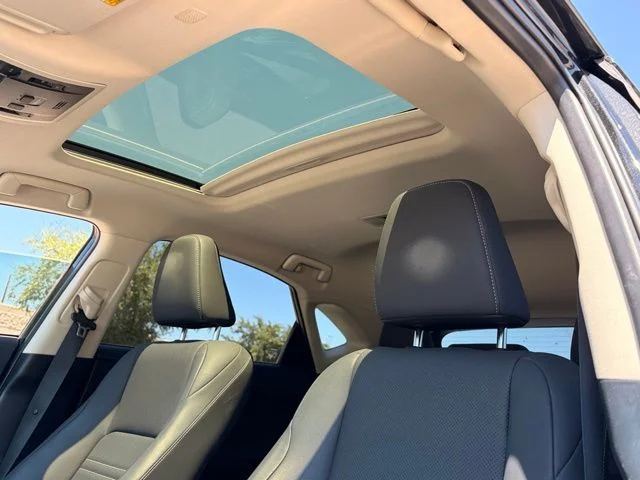Used 2019 Black Lexus 300 Base image 11