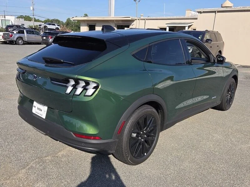 New 2026 Eruption Green Metallic Ford Select image 12