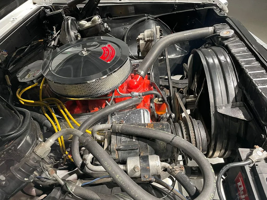 Used 1967 White Chevrolet  image 23