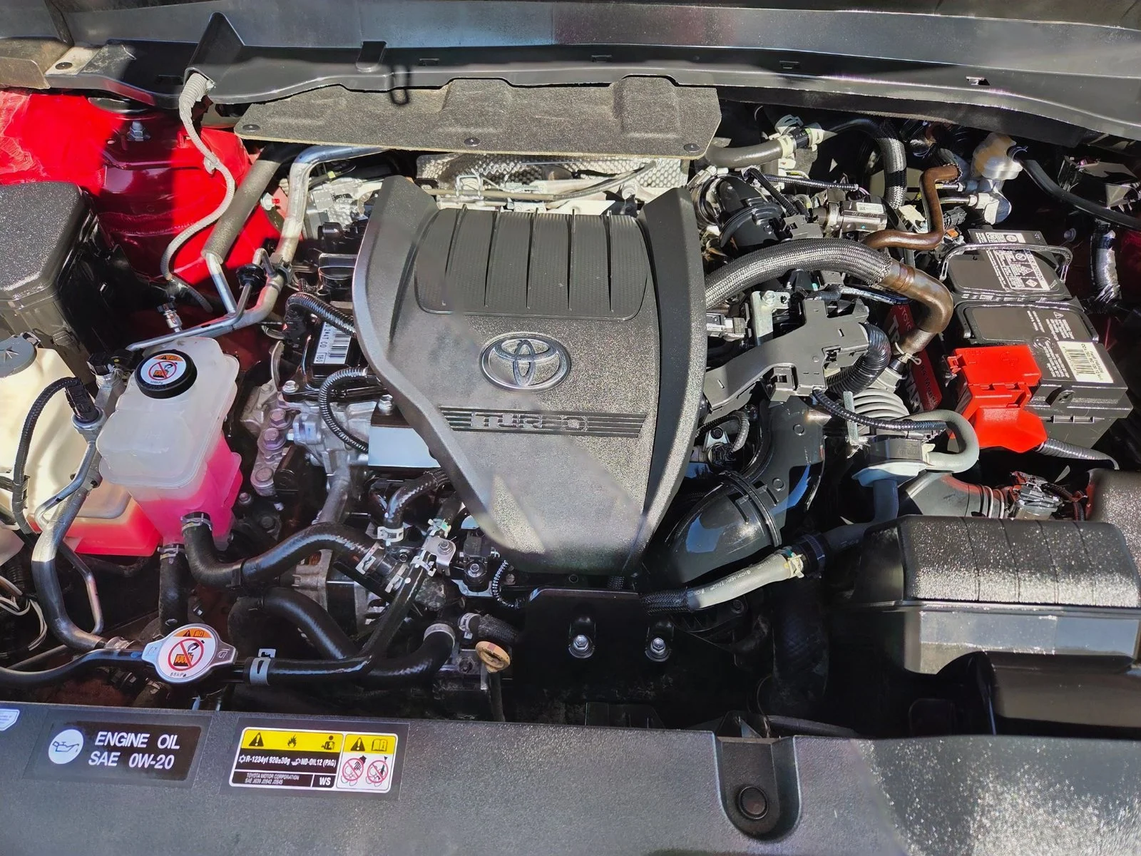 Used 2024 Ruby Flare Pearl Toyota XLE image 21