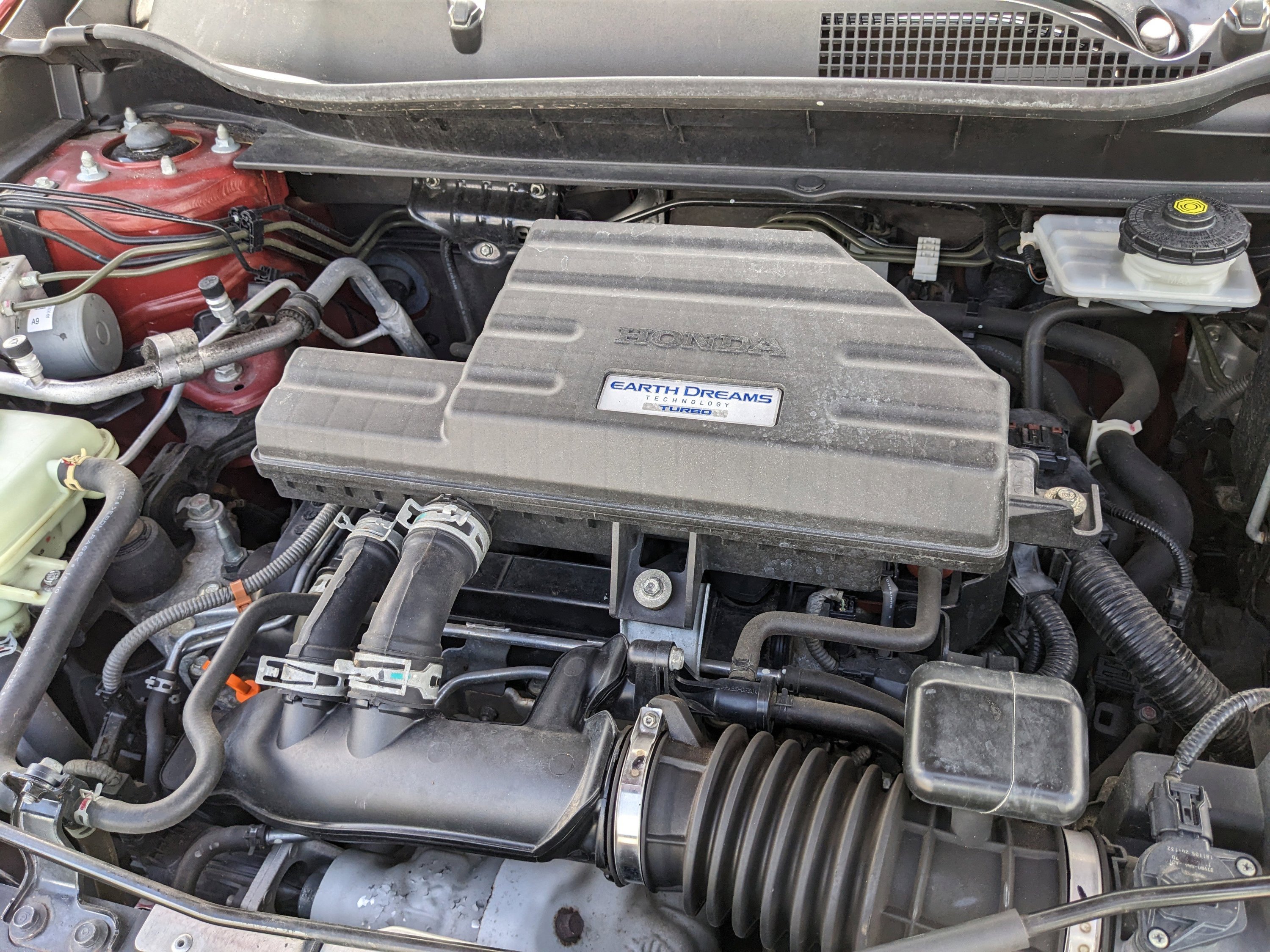 Used 2019 Molten Lava Pearl Honda EX-L image 8
