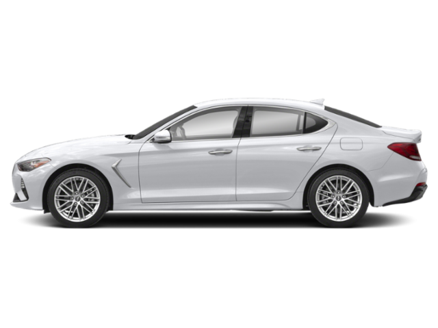 Used 2019 White Genesis 2.0T Advanced image 3