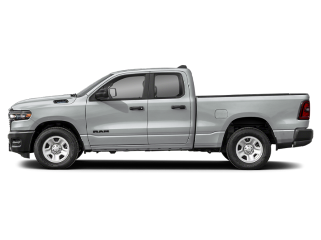 New 2026 Silver Zynith Exterior Paint RAM Express image 3