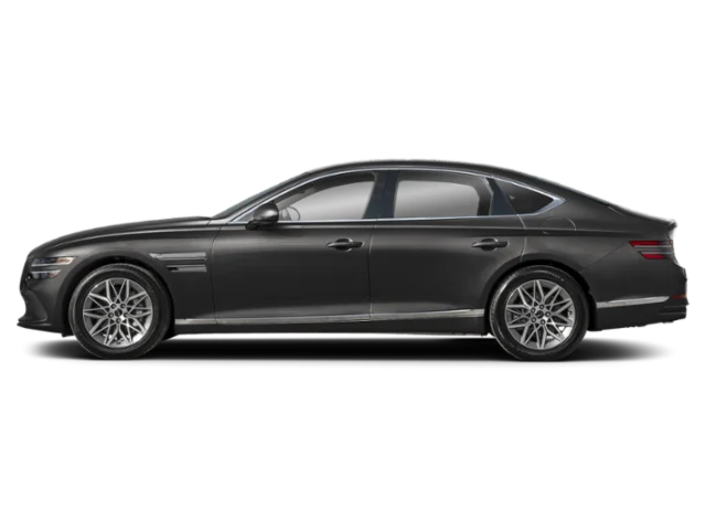 New 2027 Vik Black Genesis  image 3