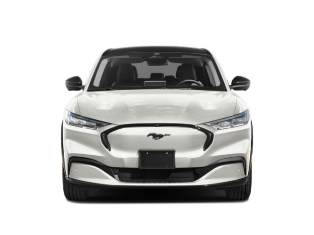 New 2026 Velocity Blue Metallic Ford Premium image 4