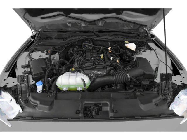 Used 2023 Oxford White Ford EcoBoost Premium image 9