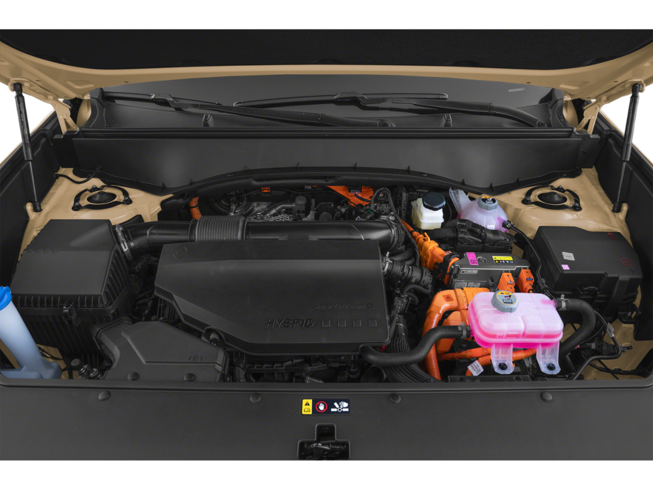 New 2027 Black Jade Green Kia X-LINE SX image 9