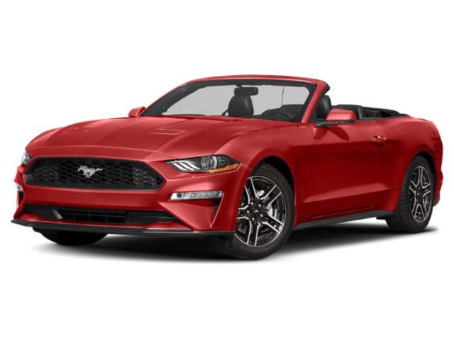 Used 2019 Red Ford EcoBoost Premium image 2