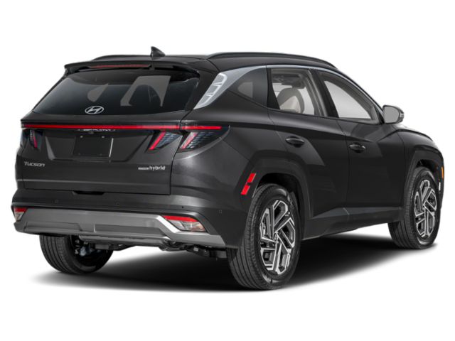 New 2026 TCM HYUNDAI LIMI image 2