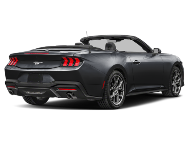 Used 2024 BLACK Ford EcoBoost Convertible image 2