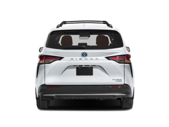 New 2026  Toyota Platinum image 6