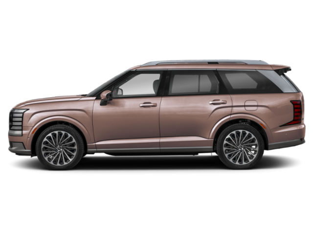 New 2027 Earthy Brass Matte Hyundai Calligraphy image 20