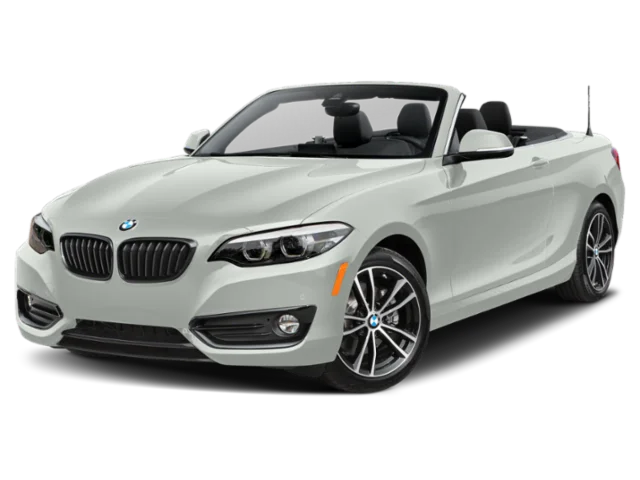 2020 BMW 2 Series 230i xDrive Convertible's photo