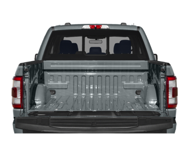 2021 Ford F-150 Limited photo 2