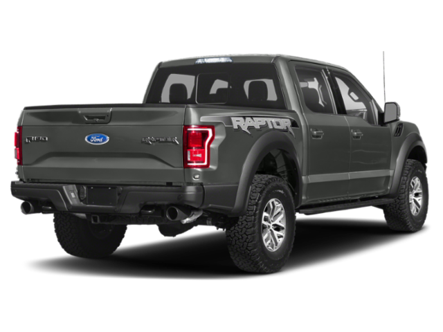 Used 2018 Magnetic Ford Raptor image 3