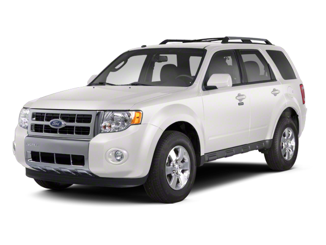 New 2010 White Ford XLT image 1