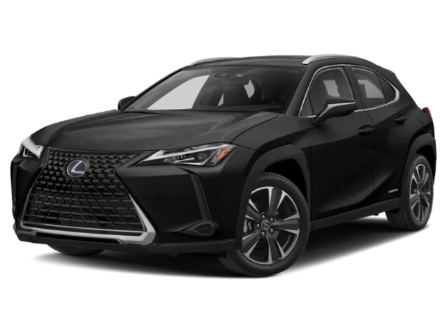 2020 Lexus UX 300h 250h AWD's photo