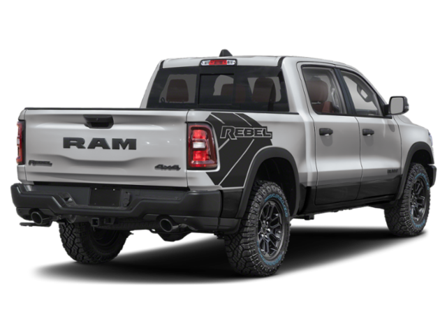 New 2027 Silver Zynith Exterior Paint RAM REBEL image 11