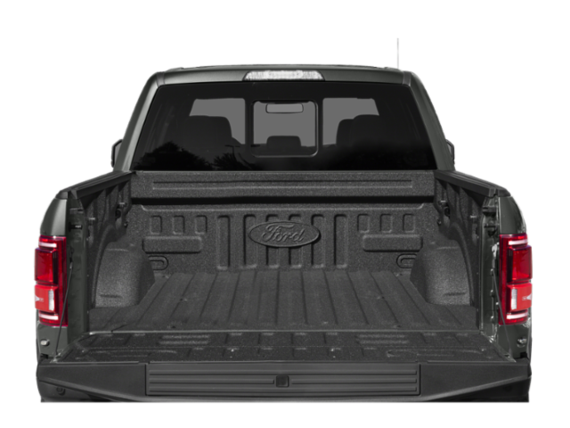 Used 2018 Magnetic Ford Raptor image 10