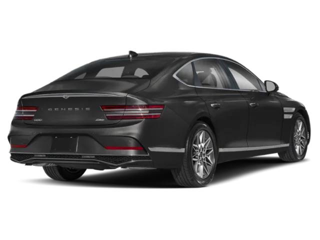 New 2027 Vik Black Genesis  image 2