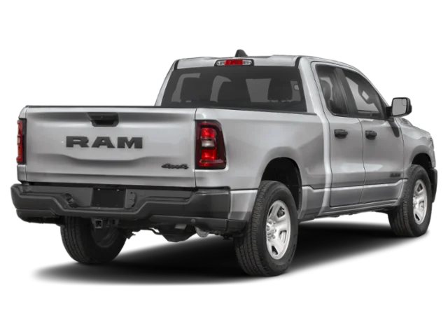New 2026 Silver Zynith Exterior Paint RAM Express image 16