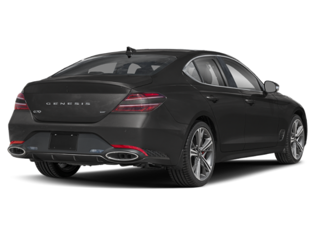 New 2027 Vik Black Genesis Standard image 3